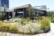 Resthaven Aberfoyle Park Courtyard